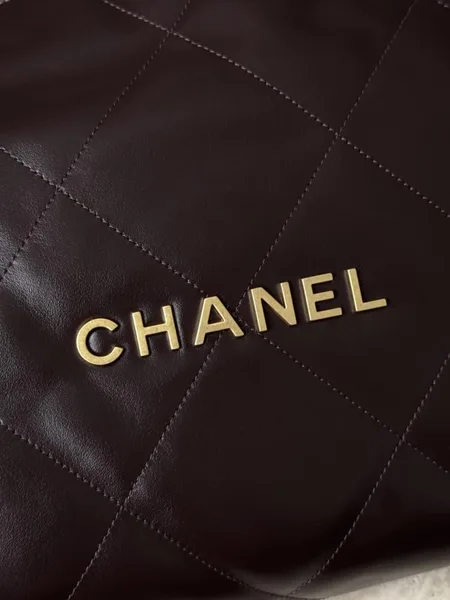 Chanel 22 handbag in Burgundy product view 5