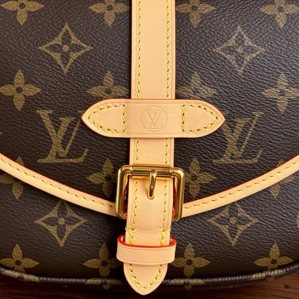 Louis Vuitton Saumur BB in Monogram Bag product view 3
