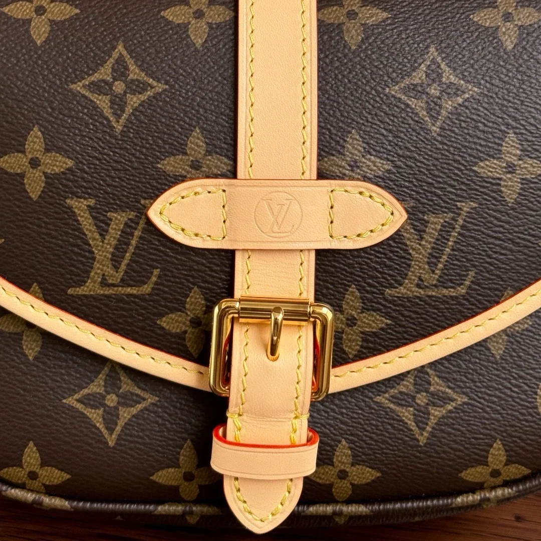Louis Vuitton Saumur BB in Monogram Bag product view 3