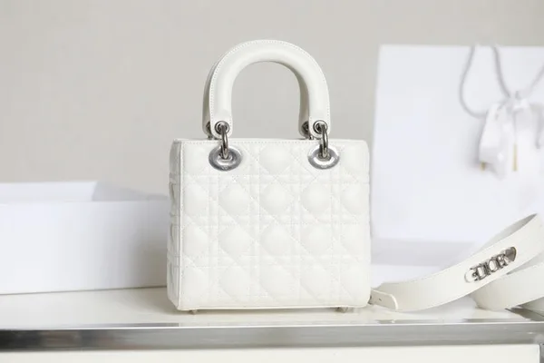 Dior My Lady Women’s Handbag White Silver Lock 20×16.5 cm product view 8