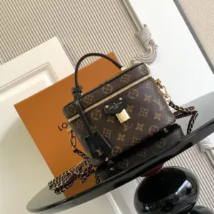 Louis Vuitton Vanity Chain Pouch product photo