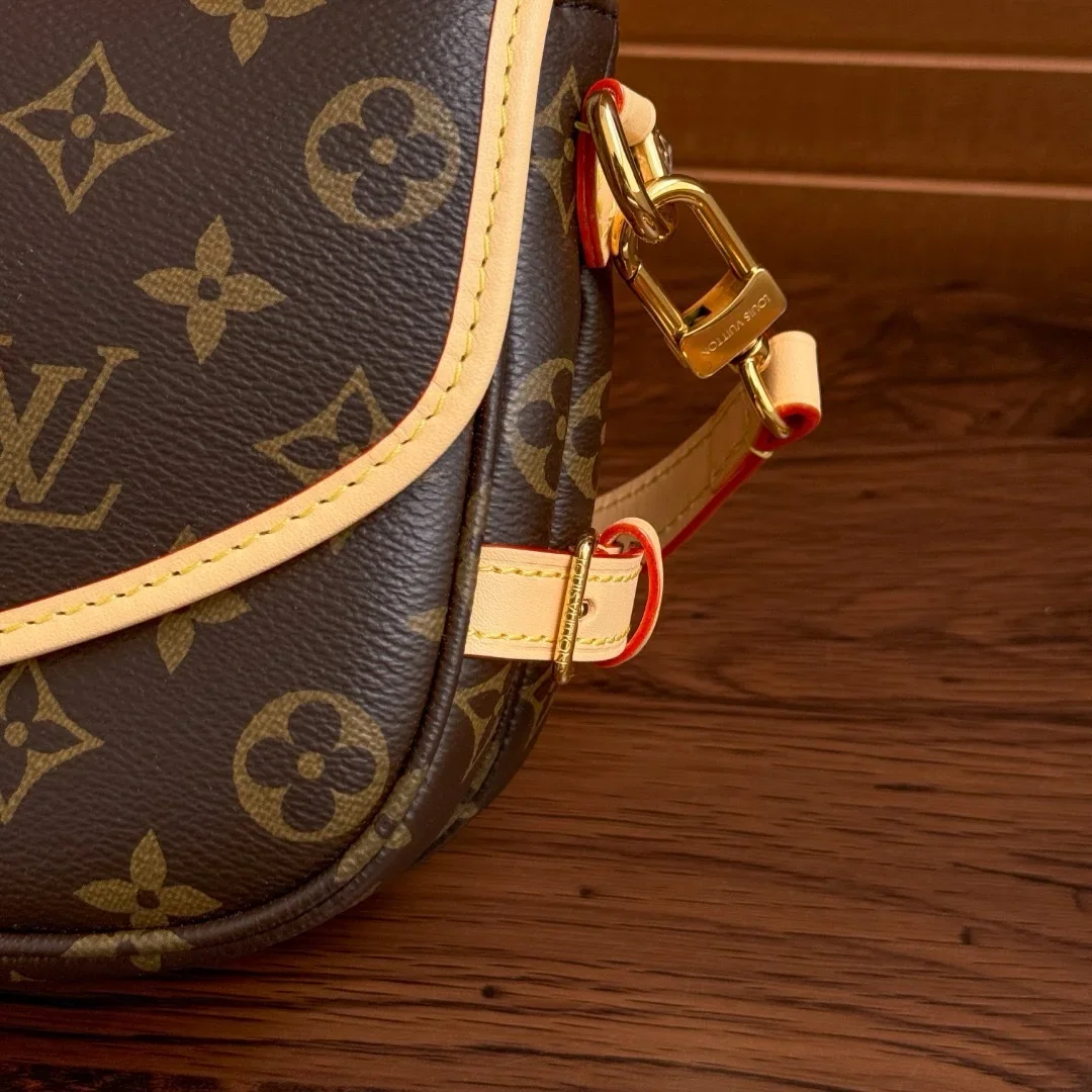 Louis Vuitton Saumur BB in Monogram Bag product view 9