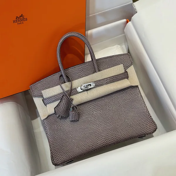 Hermès Birkin 25 Tris Fonce Lizard Leather Palladium Hardware Bag product photo