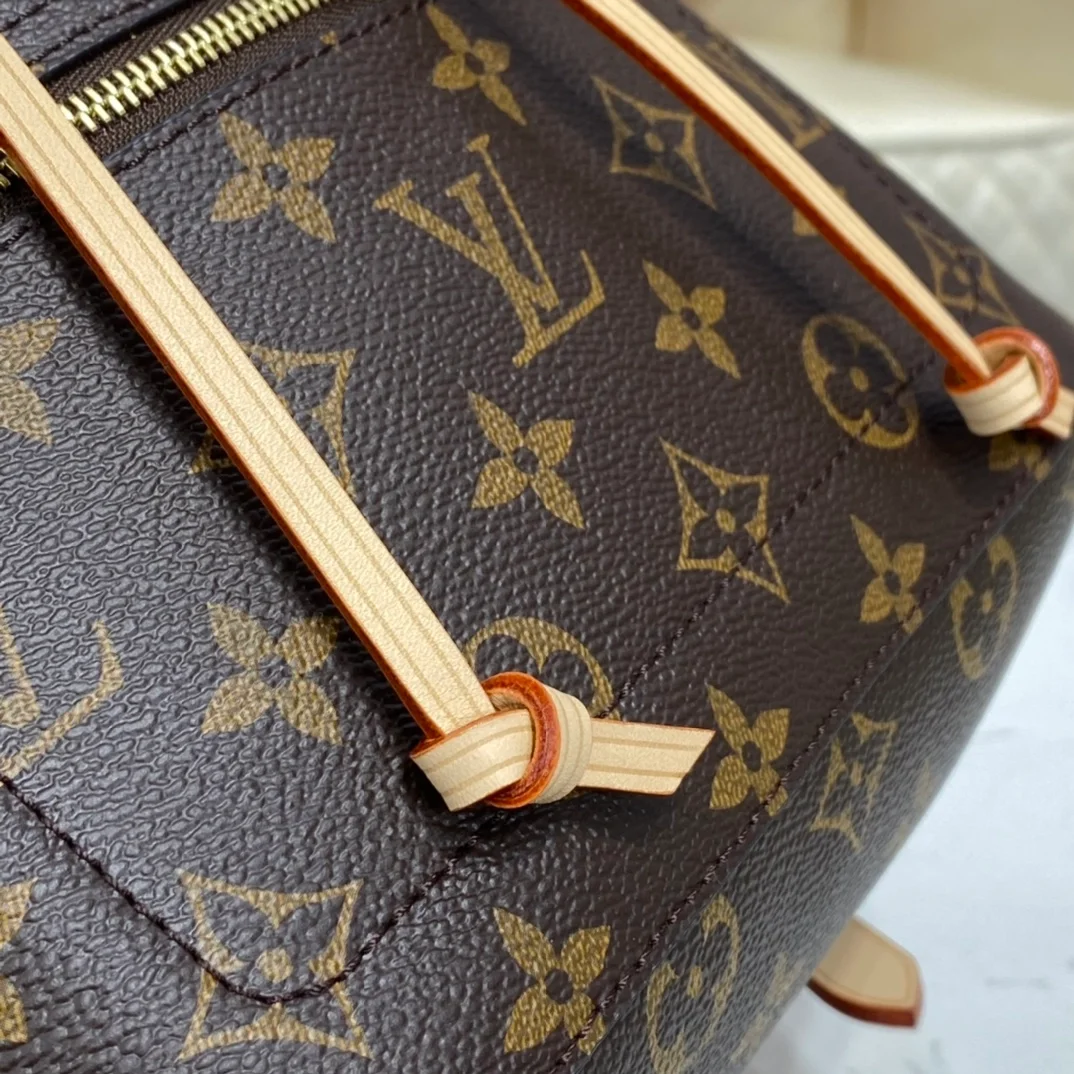 Louis Vuitton Montsouris PM backpack product view 2