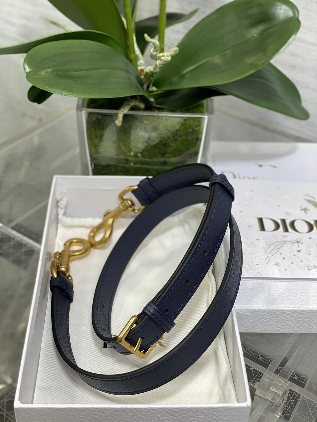 Dior Saddle Bag Blue Oblique with D Charm product view 6