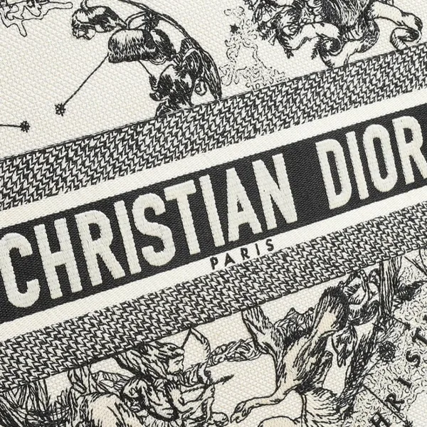Dior Medium Book Tote — Black and White Scenic Pattern product view 5