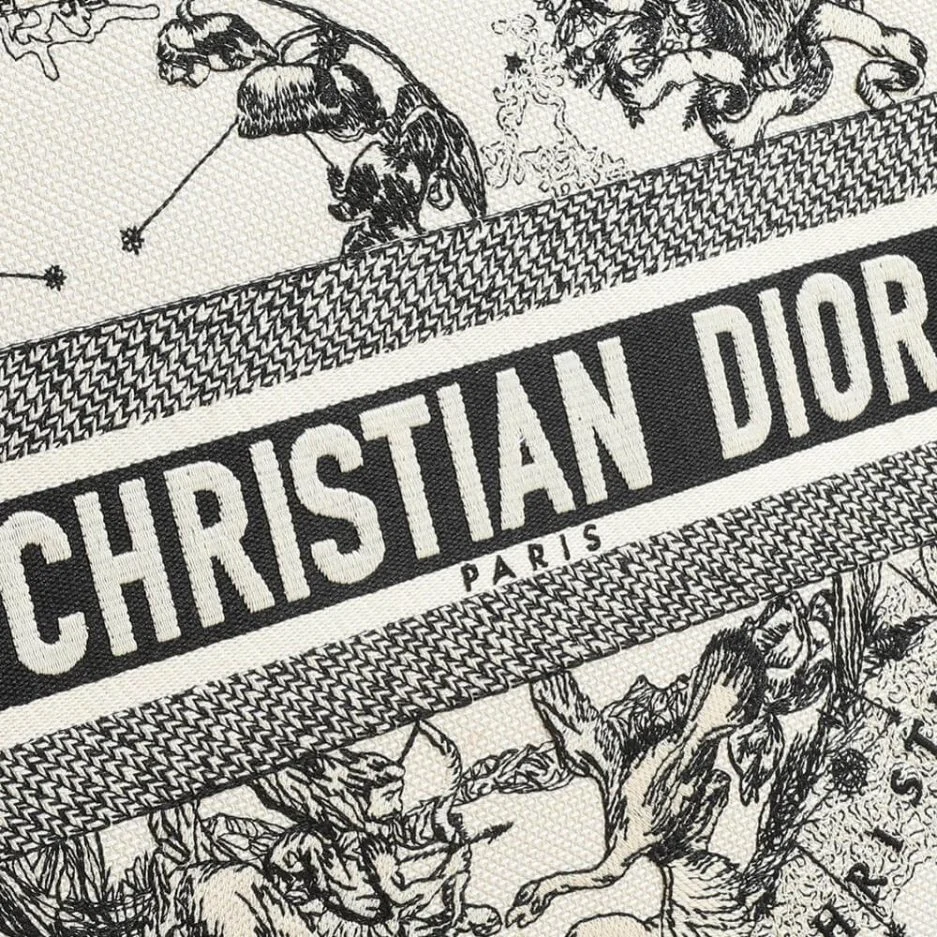 Dior Medium Book Tote — Black and White Scenic Pattern product view 5