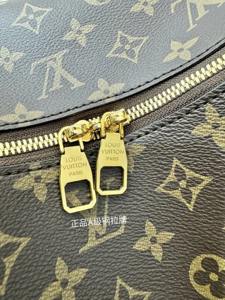 Louis Vuitton Slouchy MM Monogram Canvas Bag product view 4
