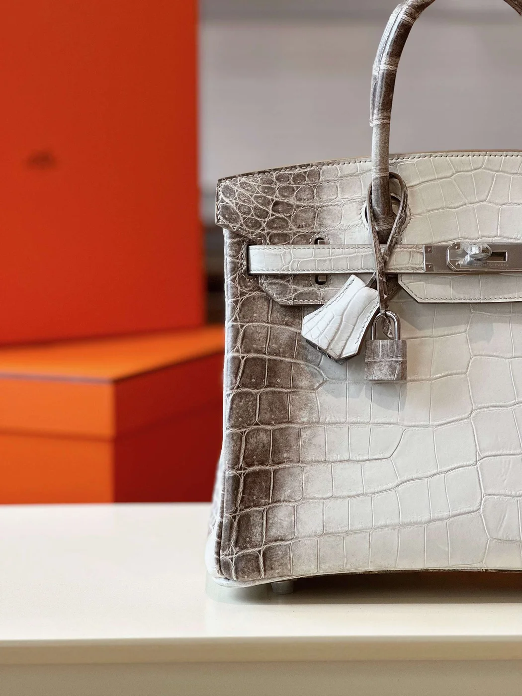 Hermès Birkin 30 Himalaya Albino Crocodile Leather Bag product view 5