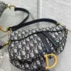 Dior Saddle Bag Blue Oblique with D Charm product view 5
