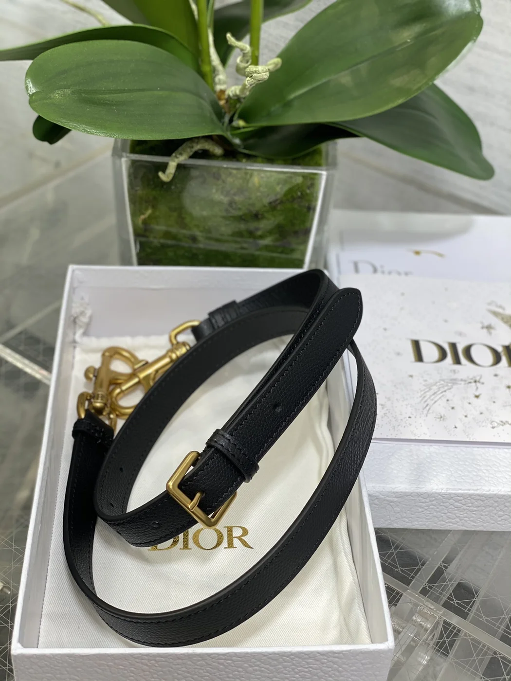 Dior Saddle Bag in Black Gold Hardware product view 7
