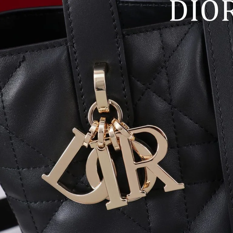 Dior Small Toujours Vertical Tote Bag product view 8