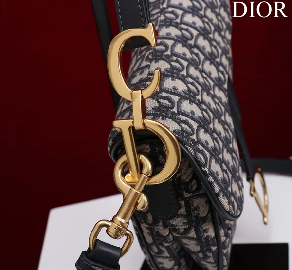 Dior Saddle Saddle Canvas Handbag Hand Embroidered 25.5x20x6cm product view 5