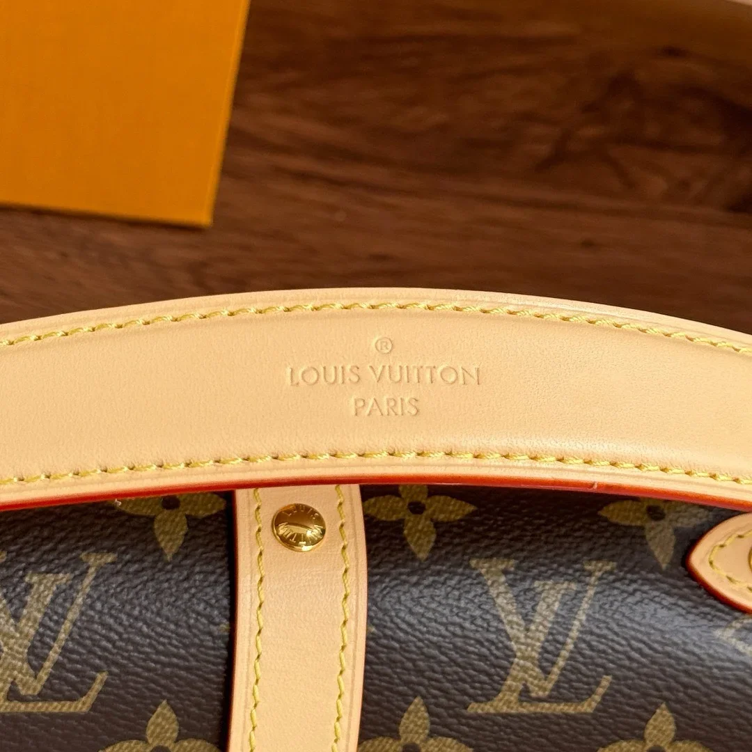 Louis Vuitton Saumur BB in Monogram Bag product view 6