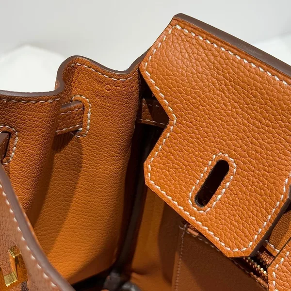 Hermès 25S Medium Birkin 25 In Burnt Orange Calfskin Gold Hardware Bag product view 6