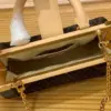 Louis Vuitton Clucth Tisitt Lock Handbags 28x14cm product view 3