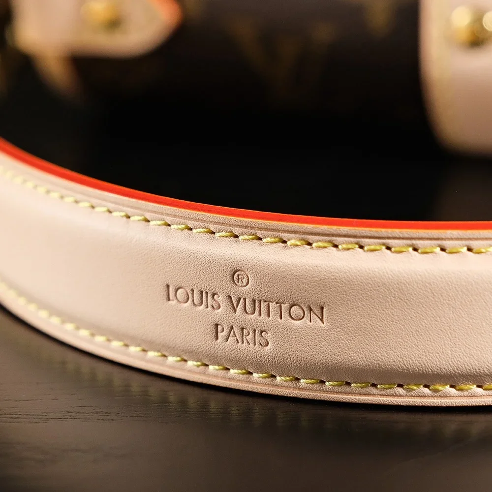 Louis Vuitton Saumur BB in Monogram Bag product view 10