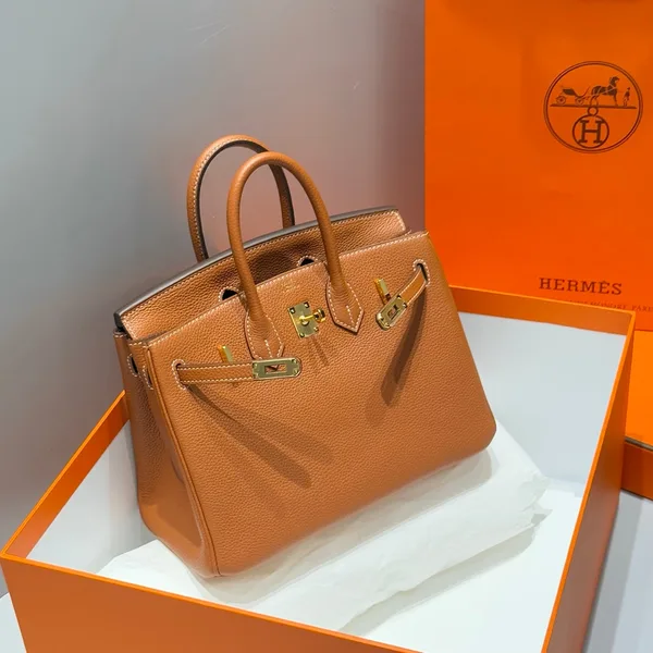 Hermès 25S Medium Birkin 25 In Burnt Orange Calfskin Gold Hardware Bag product view 2