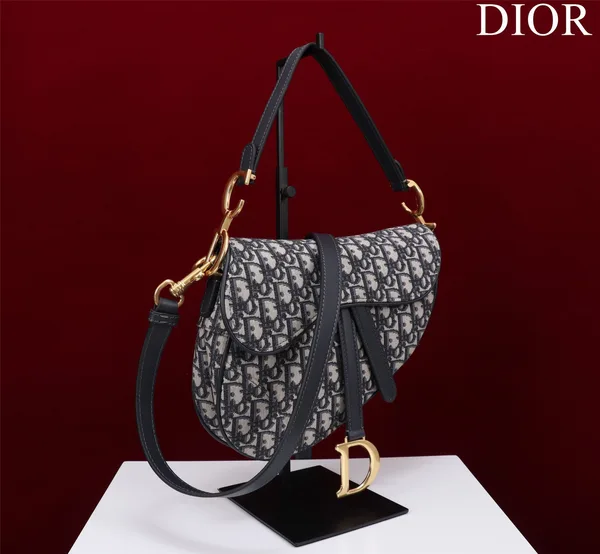 Dior Saddle Saddle Canvas Handbag Hand Embroidered 25.5x20x6cm product view 9