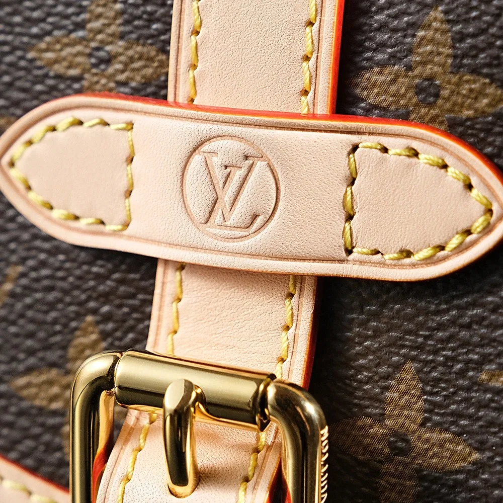 Louis Vuitton Saumur BB in Monogram Bag product view 15