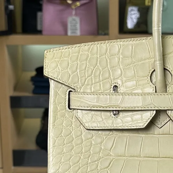 Hermès Birkin 35 cm Crocodile Leather Gold Hardware Bag product view 5