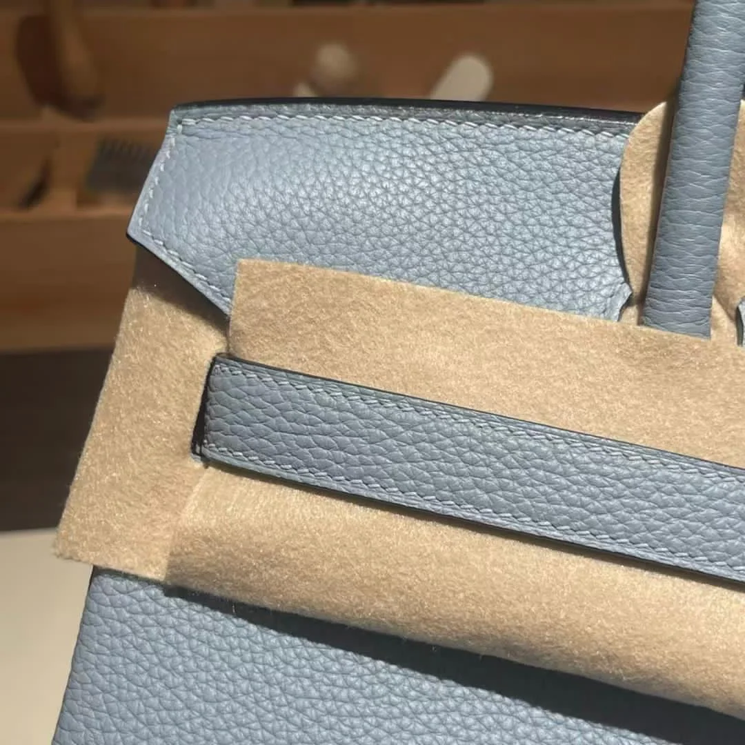Hermès 25 Cloud Blue* Togo Leather *Silver* Hardware Bag product view 6