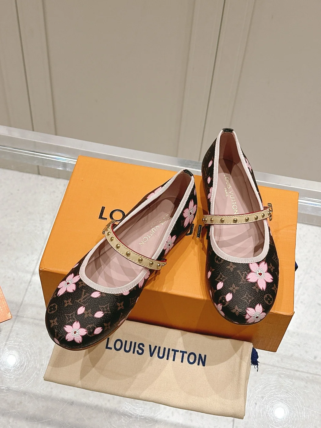 Louis Vuitton Women Brown Canvas Pink Floral Patterned Flats product view 5