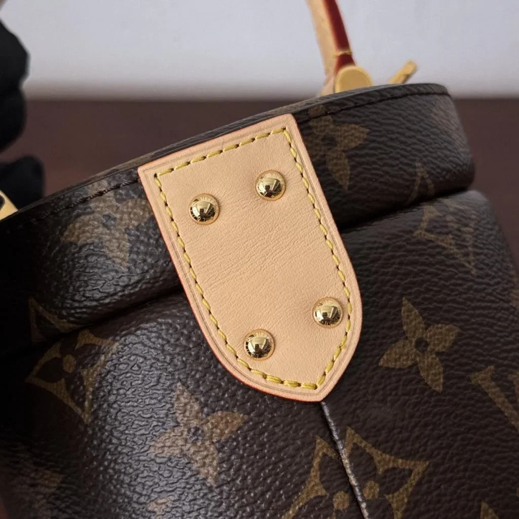 Louis Vuitton Scott M46933 Bag product view 4