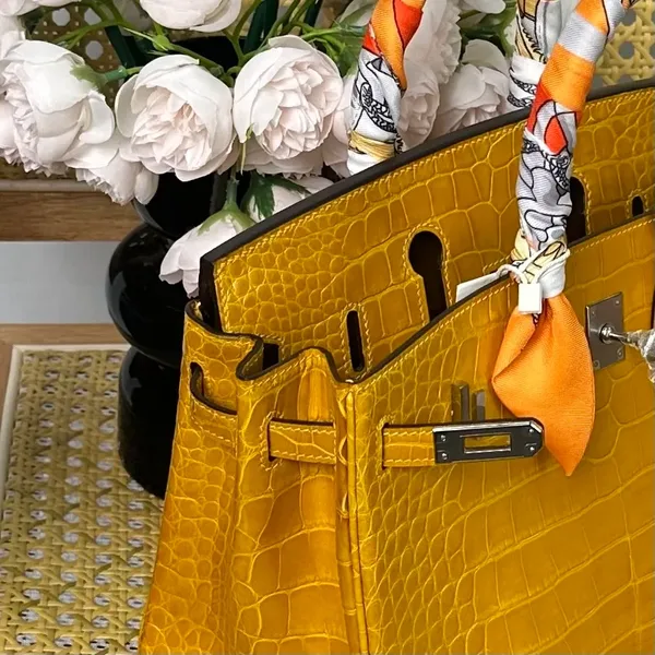 Hermès Birkin 25 cm Amber Yellow Crocodile Leather Silver Hardware Bag product view 6