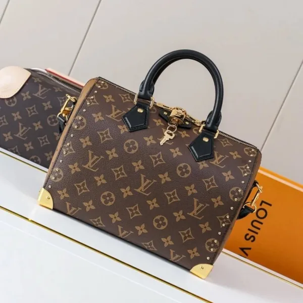 Louis Vuitton Speedy 25 Bag product photo