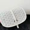 Goyard White Handbag Crossbody Women’s 22x16x7cm product view 2