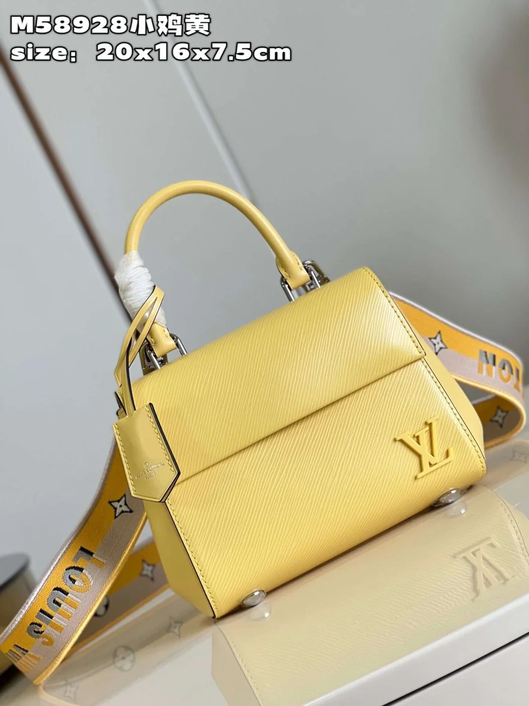 Louis Vuitton Clunny Yellow Raised Pattern 20x16cm Bag product view 6