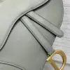 Dior Saddle Bag in Stone Gray Gold Hardware product view 2
