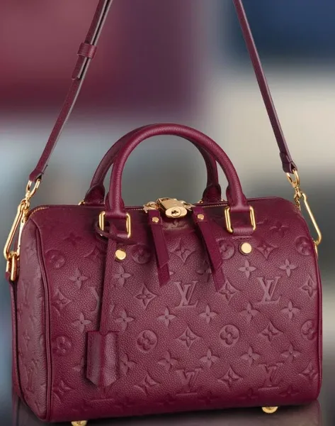 Louis Vuitton Speedy Burgundy Bag product photo