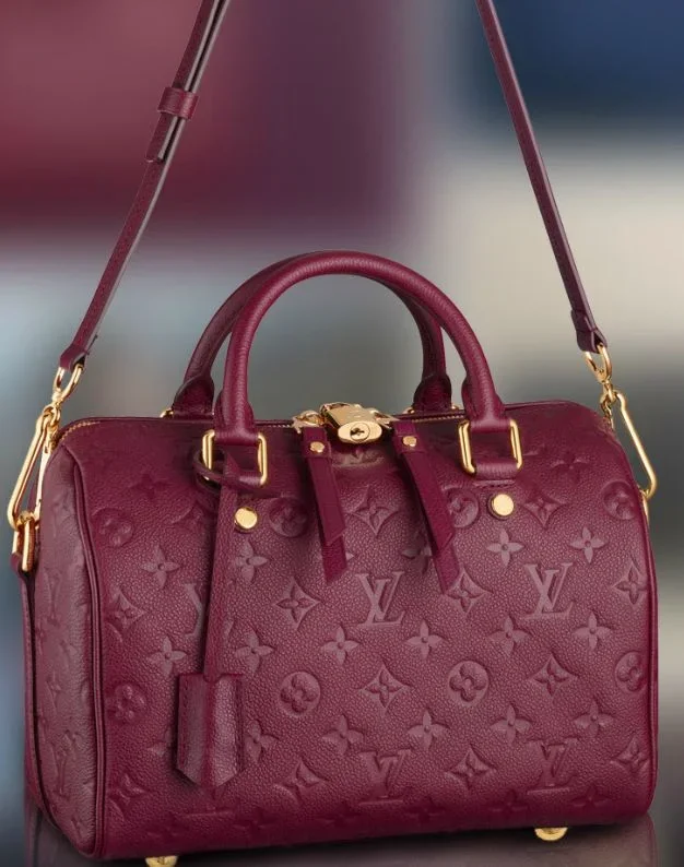 Louis Vuitton Speedy Burgundy Bag product view 1