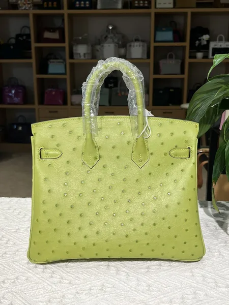 Hermès Birkin 25 cm Ostrich Leather Gold Hardware Bag product view 2