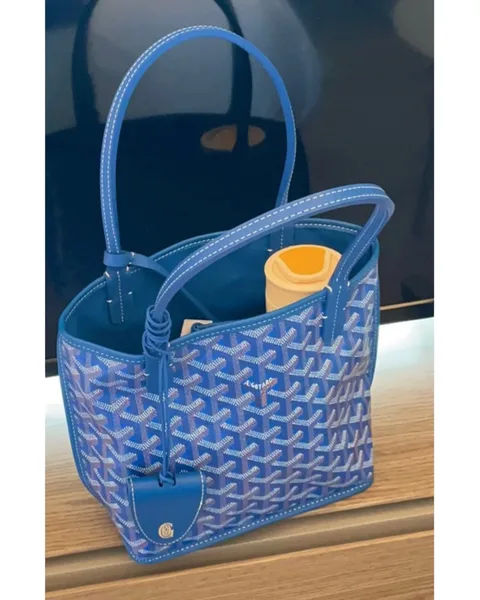 Goyard mini anjou bag blue leather product view 3