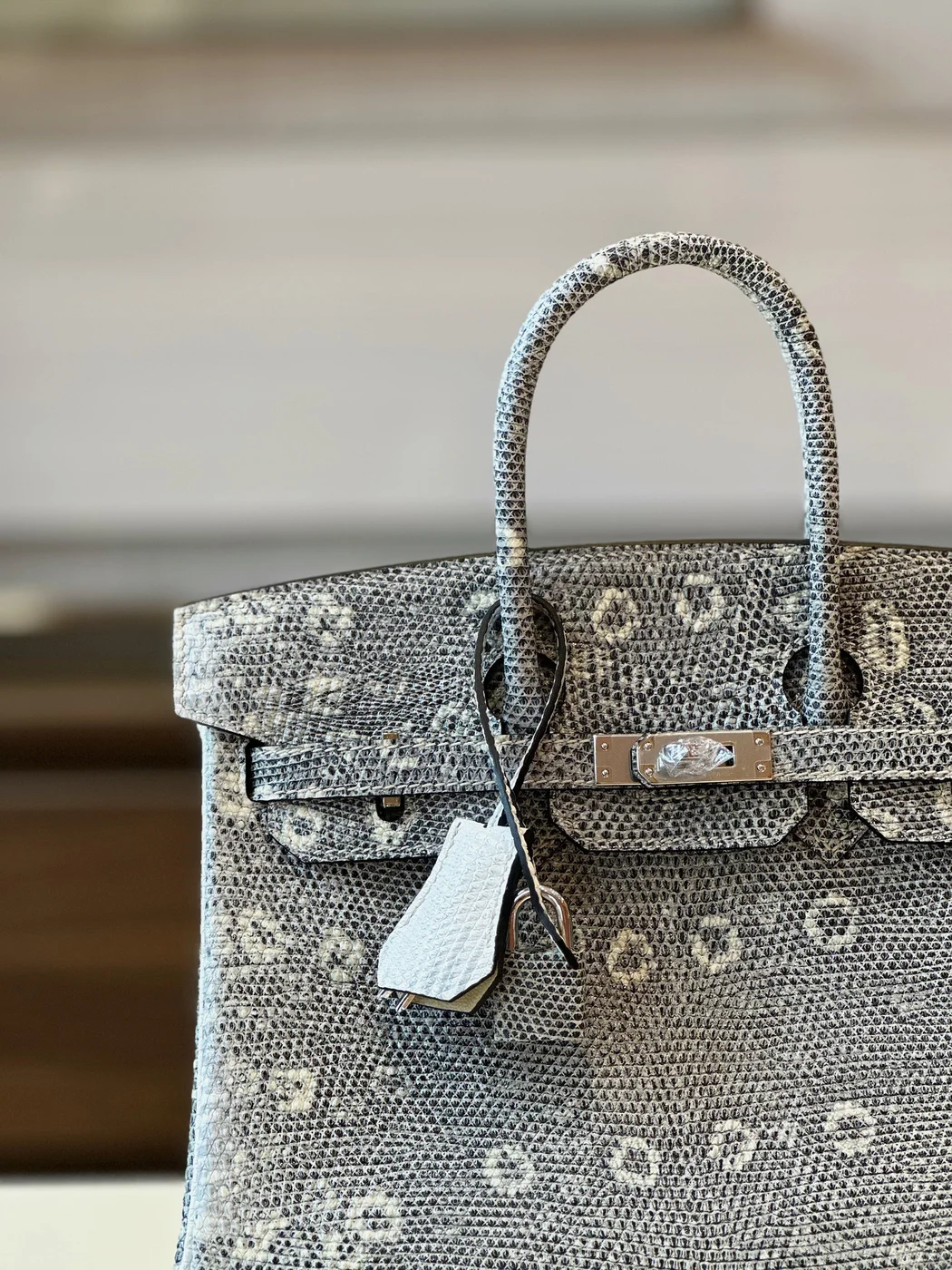 Hermès Brikin 25 Omber Lizard leather Gold Hardware Bag product view 6