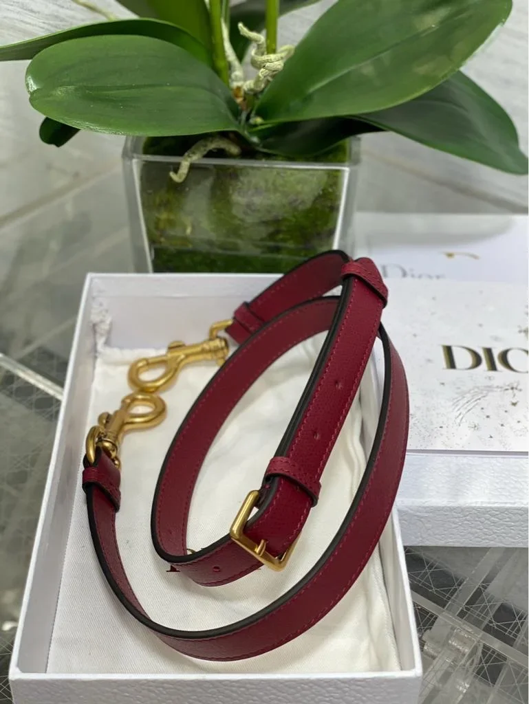 Dior Saddle Bag Red Gold Hardware product view 9