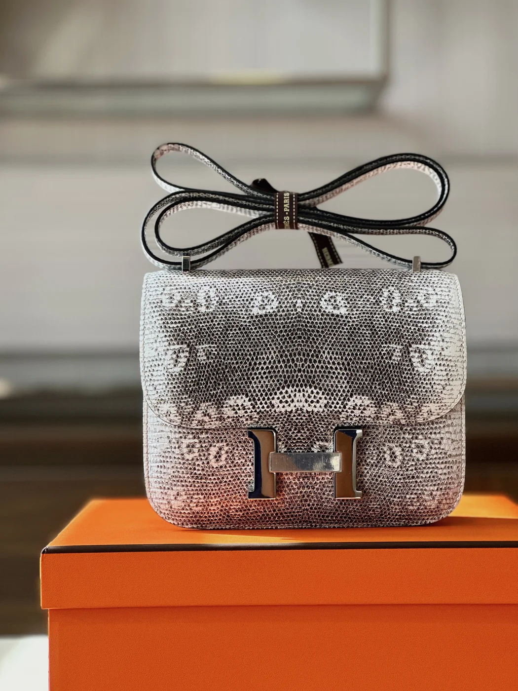 Hermès Constance 19 Omber Lizard Leather Bag product view 7