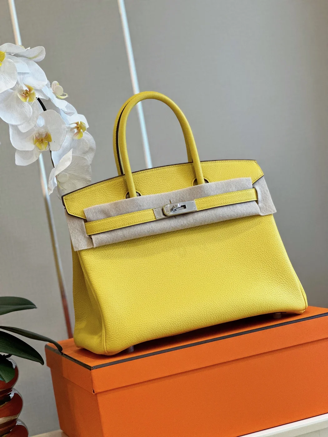 Hermès Birkin 30 Amber Yellow Palladium Hardware Bag product view 5