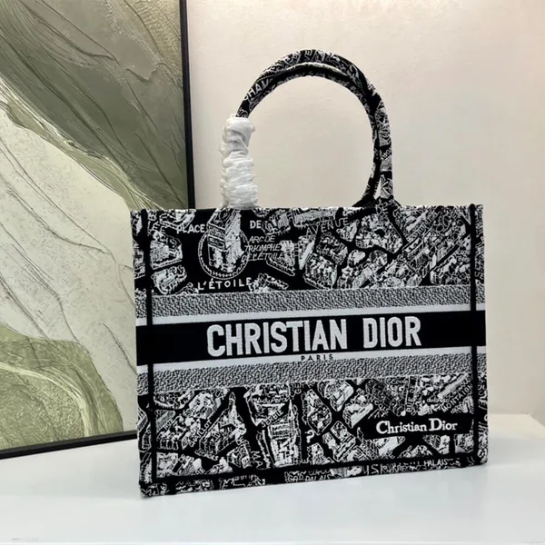 Dior Medium Book Tote product photo
