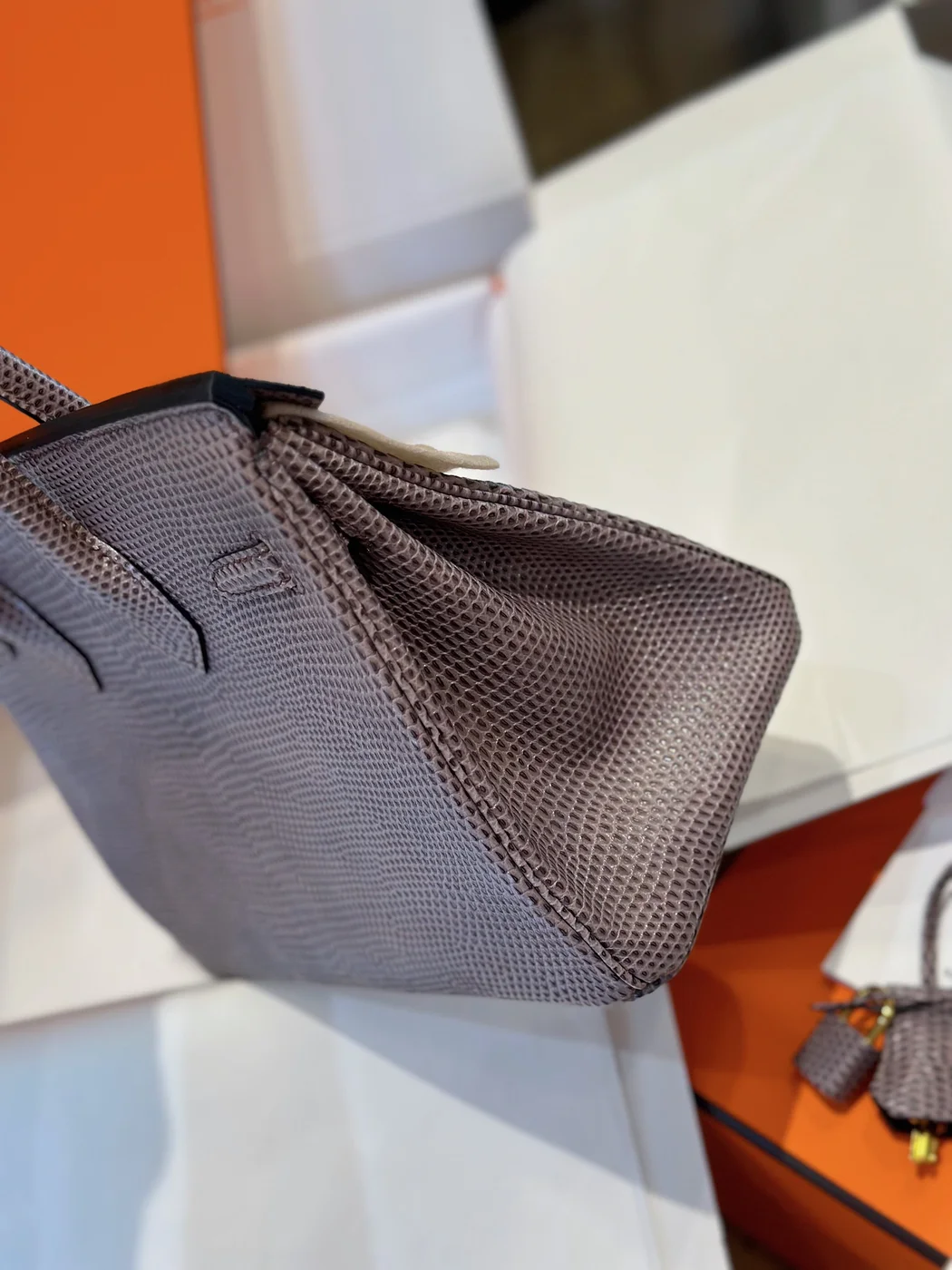 Hermès Birkin 25 Tris Fonce Lizard Leather Gold Hardware Bag product view 3