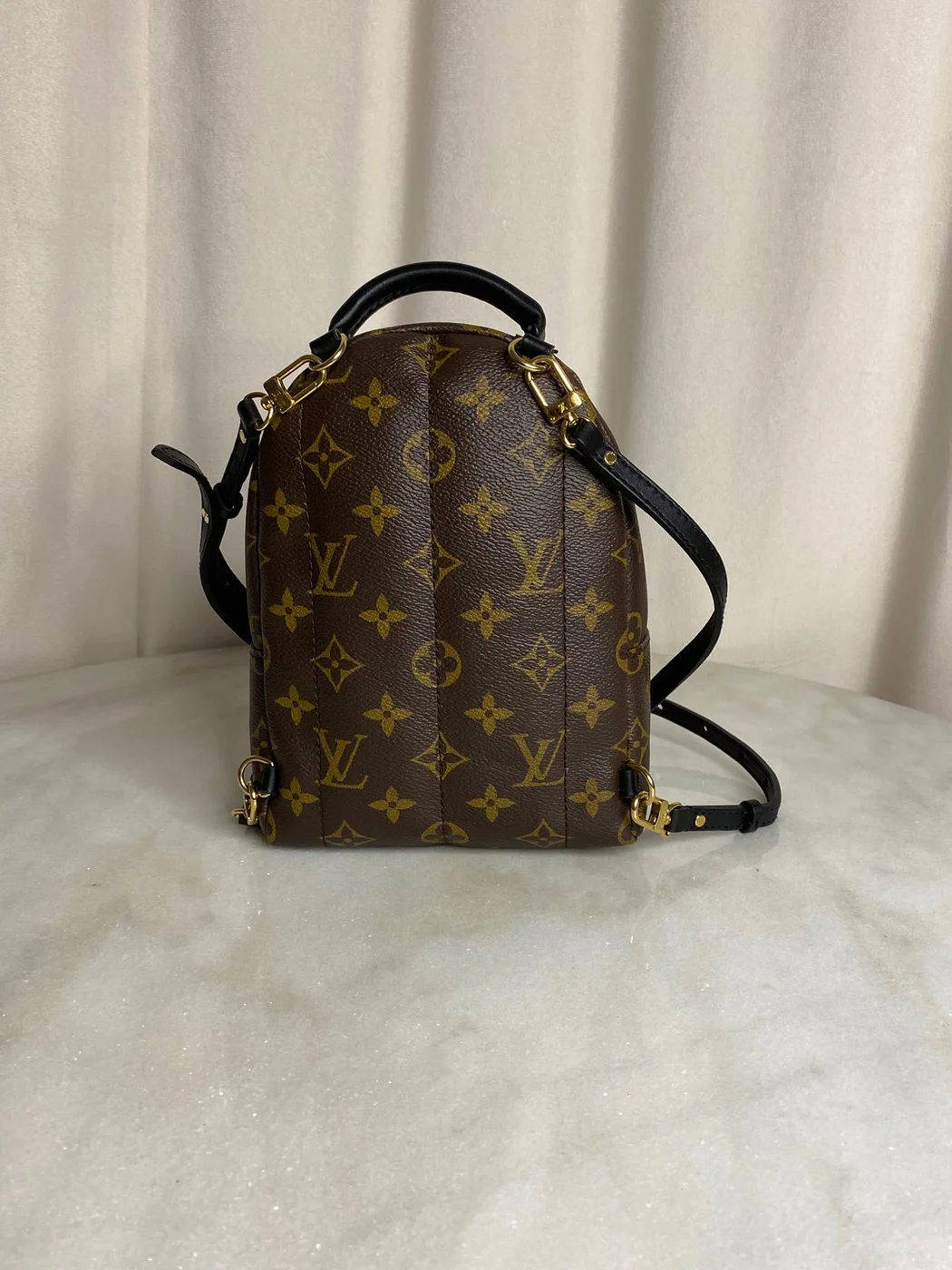 Louis Vuitton Palm Springs Mini backpack in monogram canvas product view 7