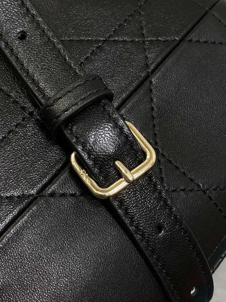 Dior Trianon bag in Black Gold Hardware product view 7