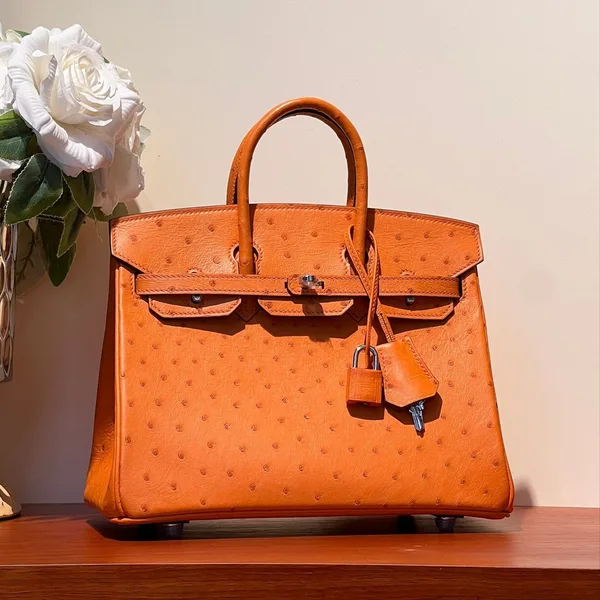 Hermès Birkin 25 Bag In Fire Orange Ostrich Leather With Silver Hardware product photo