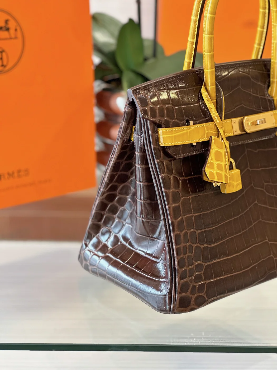 Hermès Birkin 30 Brown/Gold Crocodile Leather Gold Hardware – Custom Made Bag product view 5