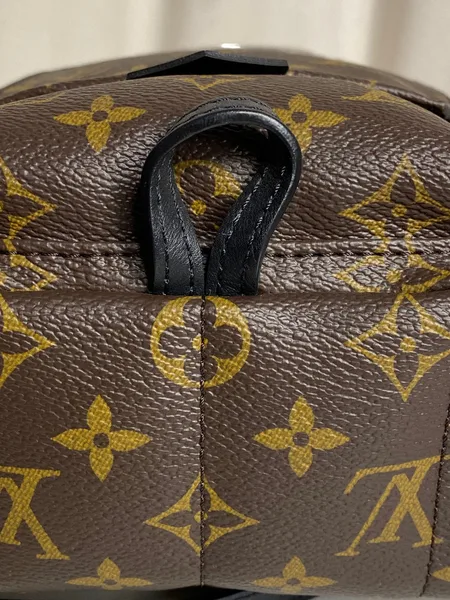Louis Vuitton Palm Springs Mini backpack in monogram canvas product view 4