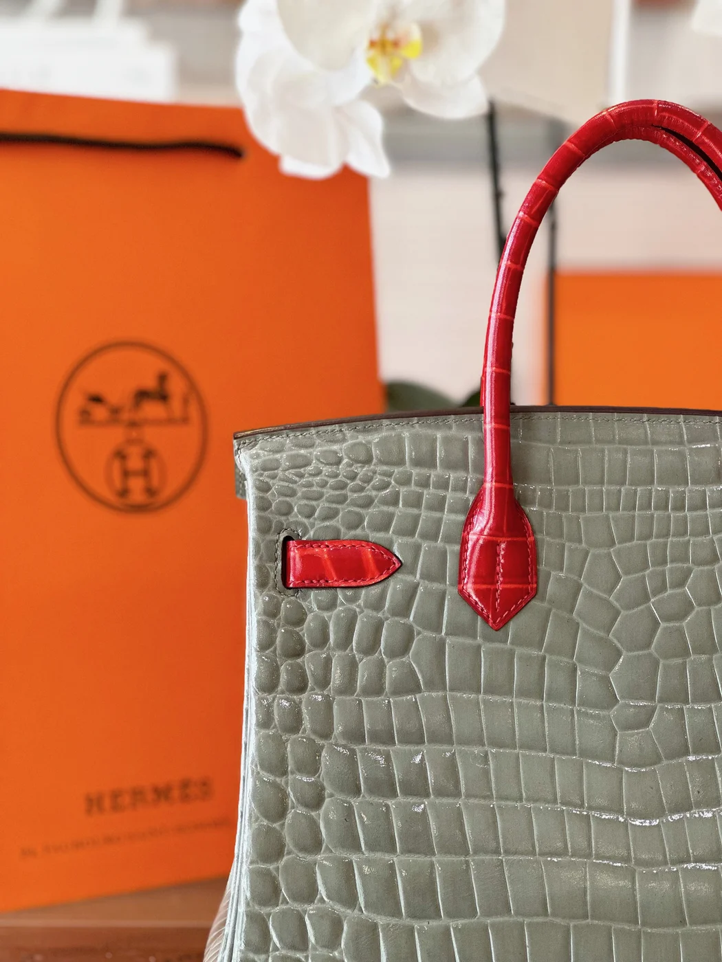 Hermès Birkin Crocodile Leather Gray and Red Custom Made Bag product view 2