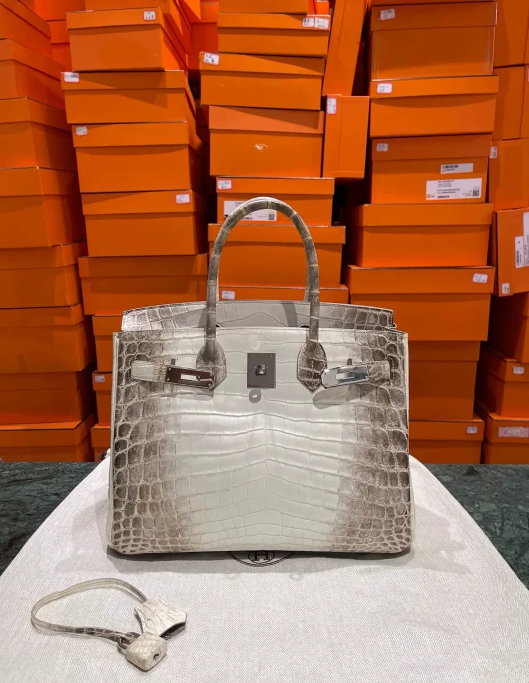 Hermès 30 Himalaya Albino Crocodile Leather Bag product view 2